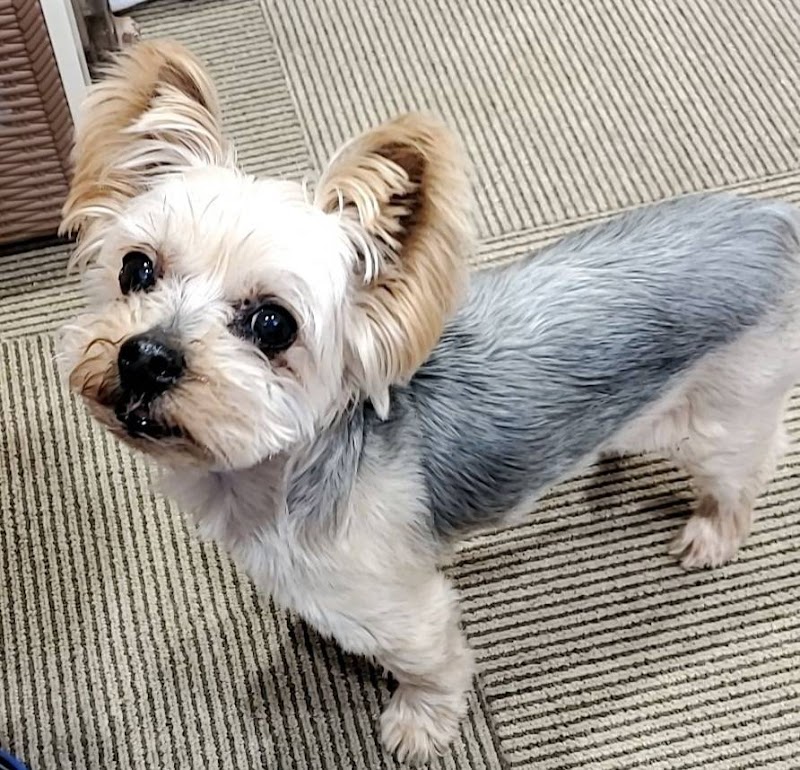 癒育園 ばぁ～ふ