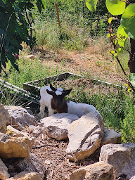 Photo n°23 de LA MAUVAISE HERBE : Gites insolites et resto-guinguette à Barjols (Restaurant végétarien)