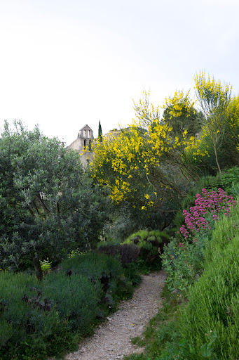 La Promenade Archéologique et Botanique - Thumbnail