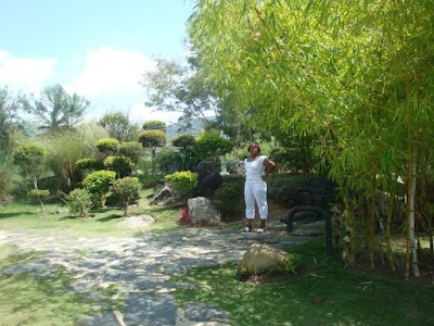 Jardin Japones