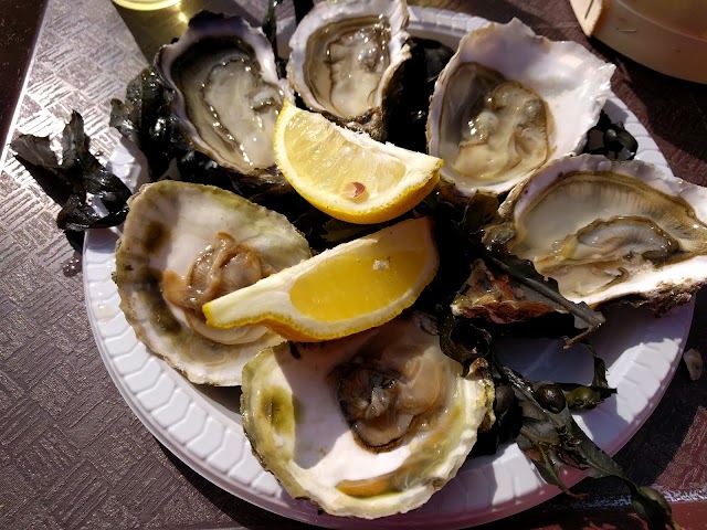 Les Viviers de Loc'ker