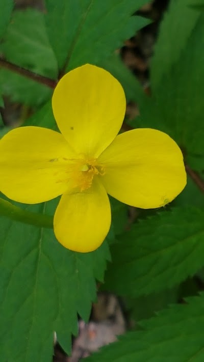 Photos of Jeombongsan