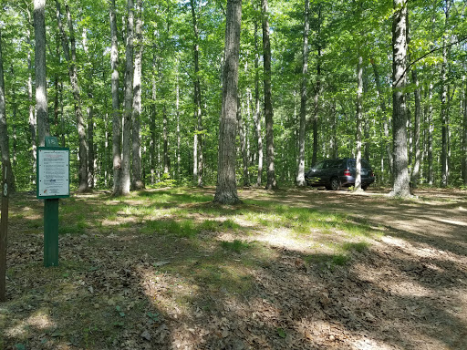 Campsite 18 - Thumbnail