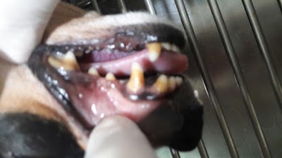 Photos of Agroveterinaria Los Animales
