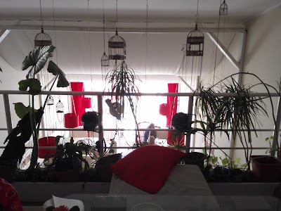Photos of Vanilla Cafe