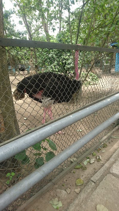 Photos of Port Harcourt Zoo