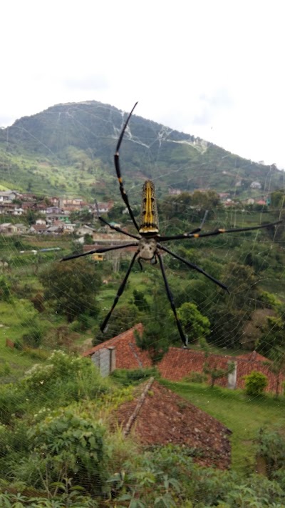 Photos of Villa Buena Vista
