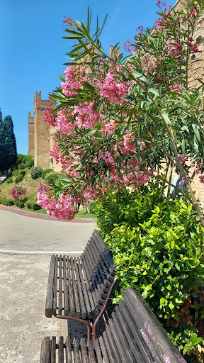 Tribunale Di Urbino