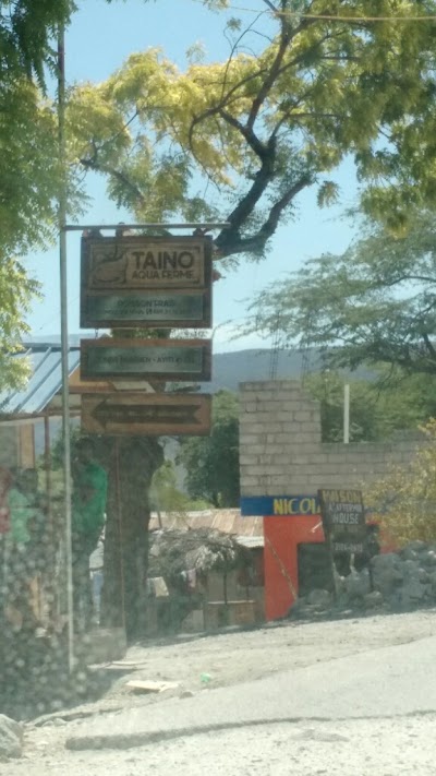 Photos of Taino Aqua Ferme