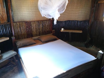 Photos of Bora Bora Gardens Hostel