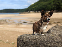 Élevage familial de la tribu des Hermines à Prat