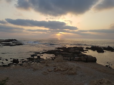 Photos of Al Fanar Resort