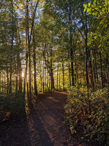 Deevy Pines Park Gallery - Canada