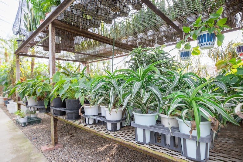 有限会社猿投観葉