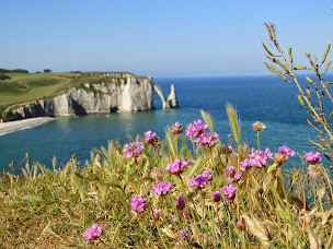 Photo n°27 de NATTERRA, organisation de visites naturalistes commentées à Etretat à Étretat (Agence de visites touristiques)