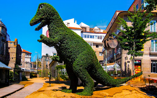 Dinoseto - Visual