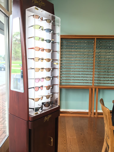 Vision Max - Visual