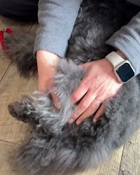 グルーミングスペースマル