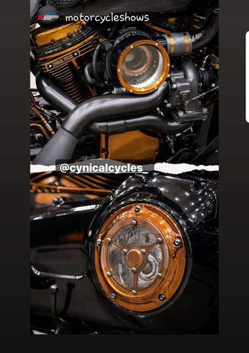 Cynical Cycles - Visual