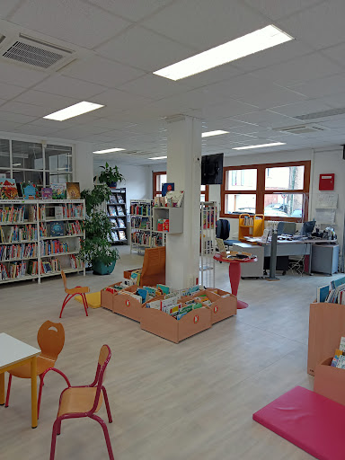 Library Pierre Caminade - Thumbnail