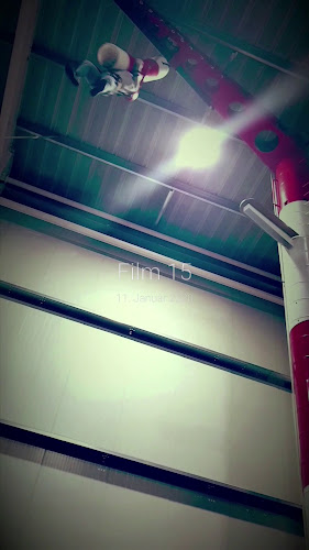 Rezensionen über HAPIK Kletterspaß Mainz in Freienbach - Fitnessstudio