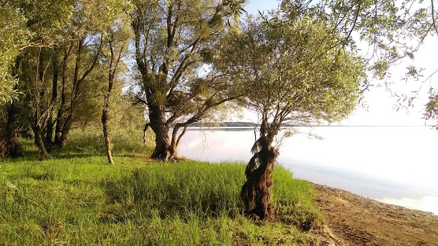 Lac d'Orient