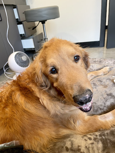 Peacefully at Home Vet Services - Thumbnail