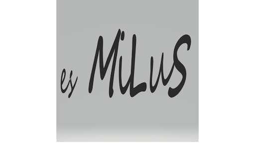 esMiLuS - Visual