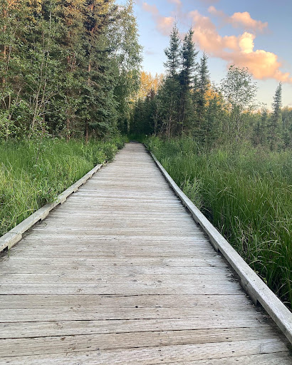 Baxter Bog Park - Thumbnail