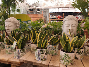 Photo n°5 de Passion Jardin à Châteaurenard (Pépinière)