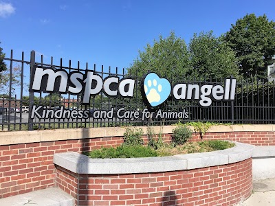 Photos of Angell Animal Medical Center