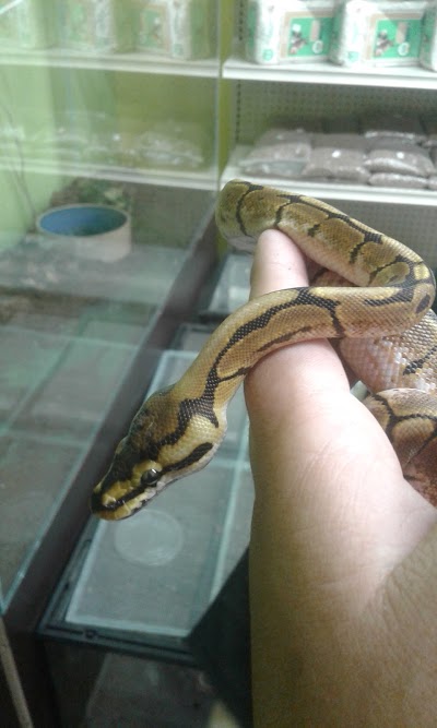 Photos of Exoticos Pet Shop