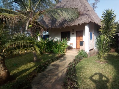 Photos of Sheba Diani Beach