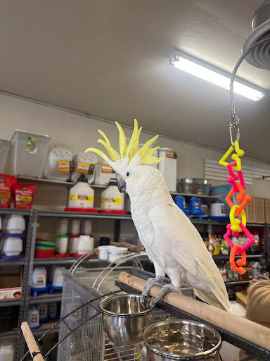 Farmersville Feed & Seed Gallery - United States