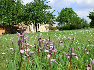Photo n°43 de BRITAVIT - Chambres de charme / table d'hôtes en Dordogne + Gîte à Saint-Avit-Sénieur (Chambre d'hôtes)
