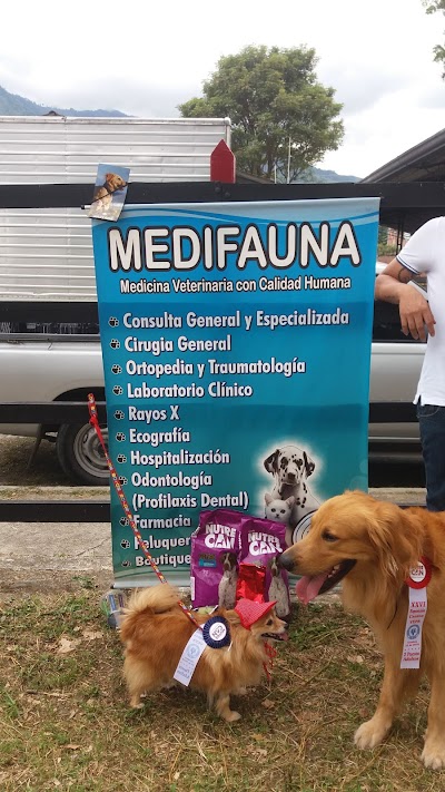 veterinary-care