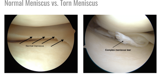 Specialty Orthopaedics - Thumbnail