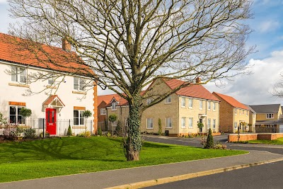 Allison Homes - Frampton Gate