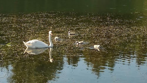 Radžu ūdenskrātuve