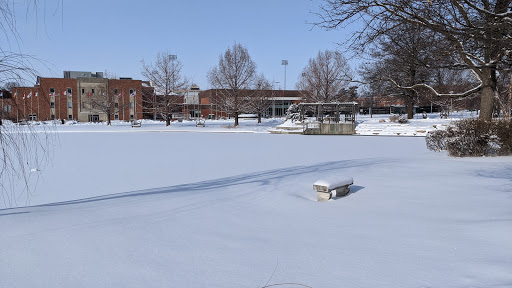 Colden Park - Visual