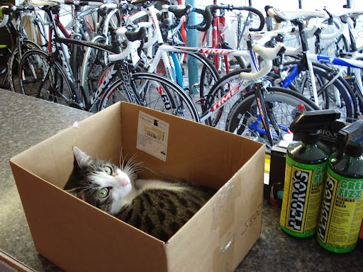 Borwell Cycles Ltd - Thumbnail