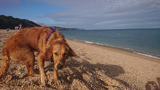 Strete Gate Beach - Thumbnail