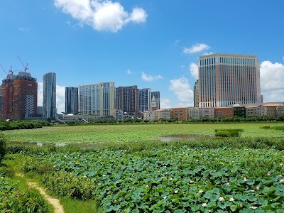 park