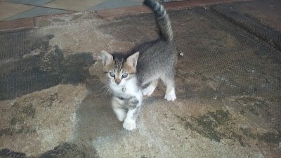 Photos of Veterinaria los Criadores