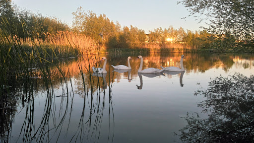 Parc de la Roselière - Thumbnail