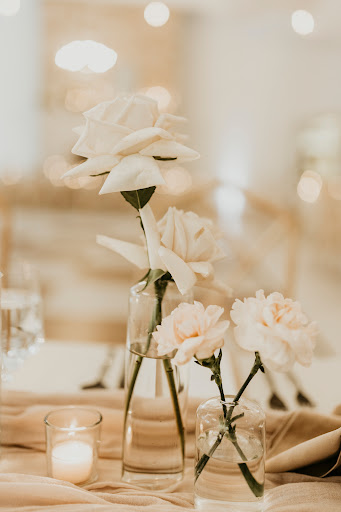 Designs by Amber Lanier - Thumbnail