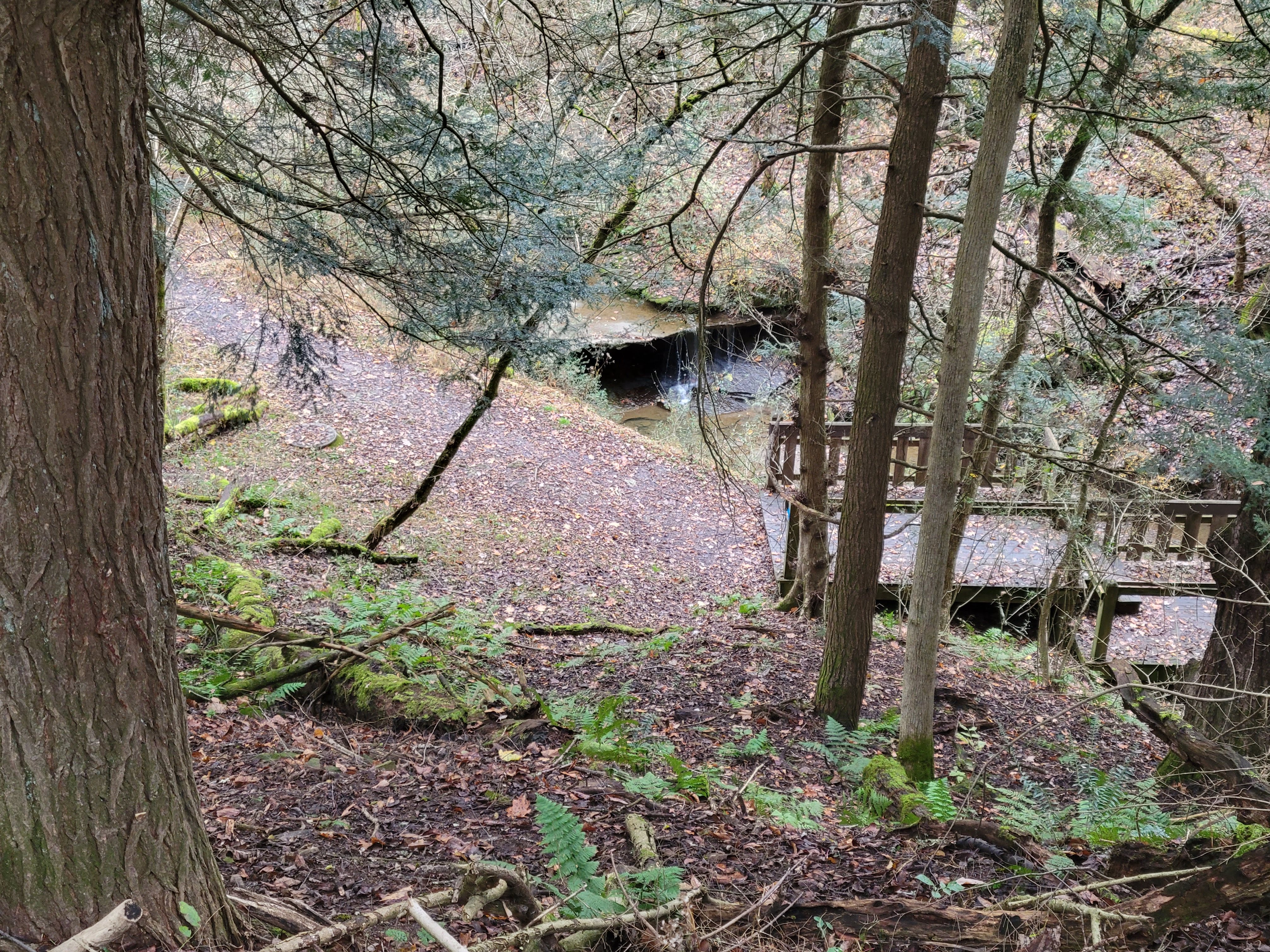Schrader Environmental Education Center