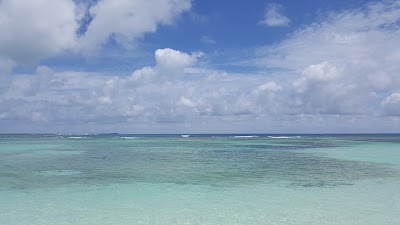 Photos of Long Bay
