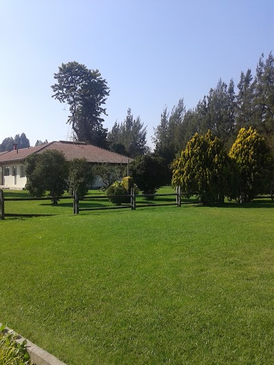 Photos of Agricola Los Carrizos