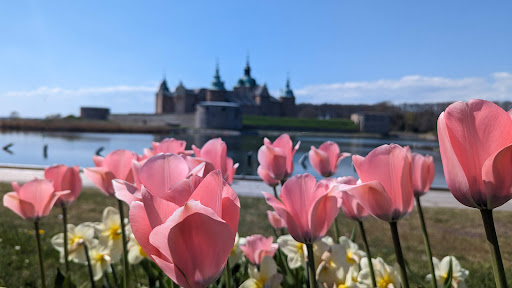 Sylvanderparken - Thumbnail